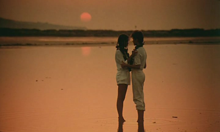 A Summer in a Sea Shell (1985) Screenshot 1