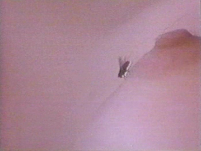 Fly (1970) Screenshot 5 
