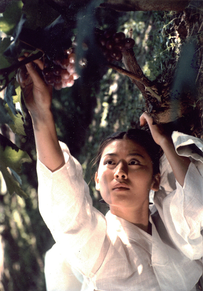 Ppong (1986) Screenshot 4