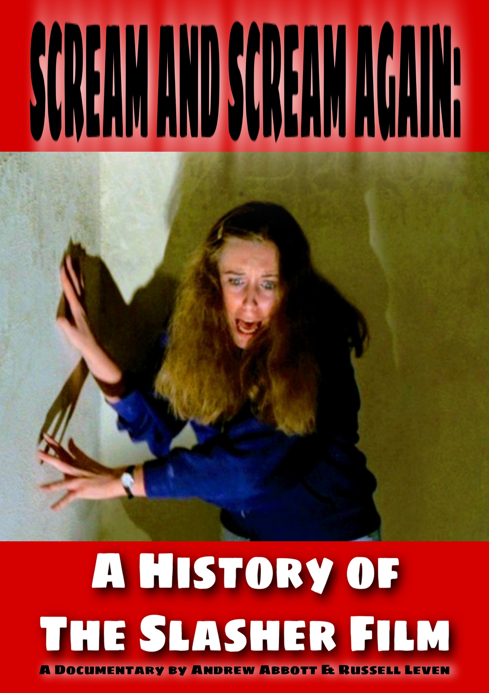 Scream and Scream Again: A History of the Slasher Film (2000) Screenshot 2