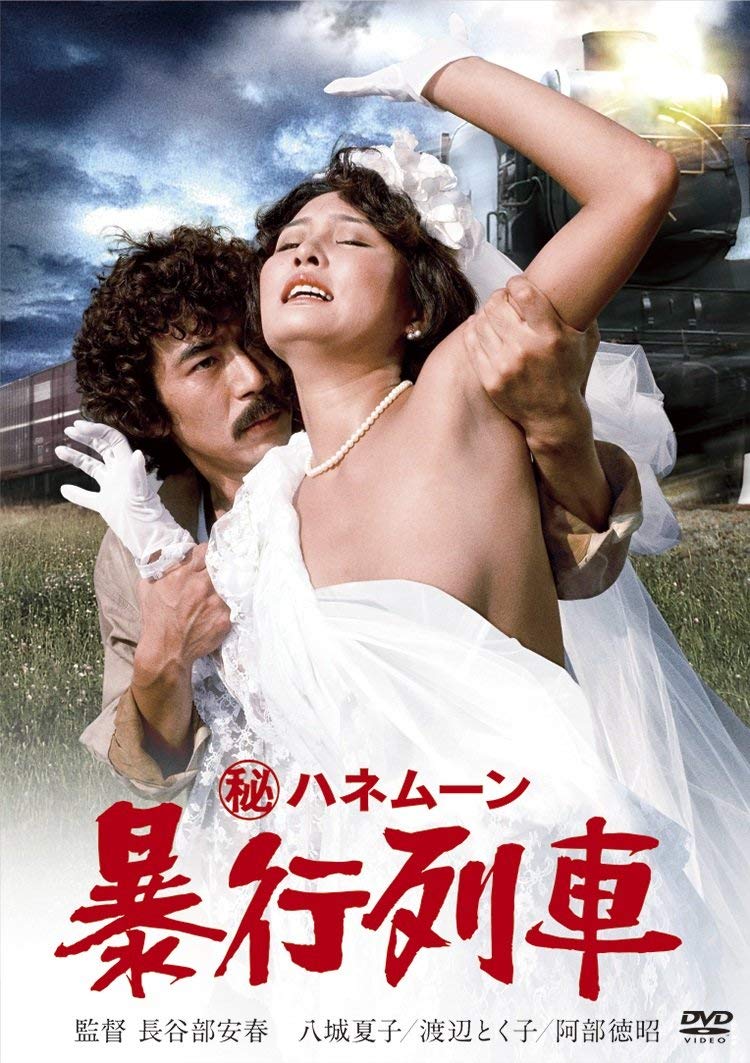 Secret Honeymoon: Rape Train (1977) Screenshot 1