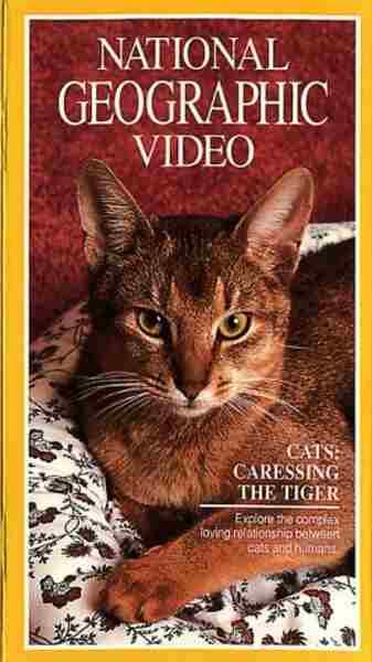 Cats: Caressing the Tiger (1991) Screenshot 2