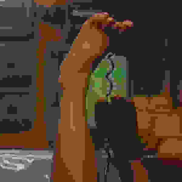 Visitors (2003) Screenshot 2