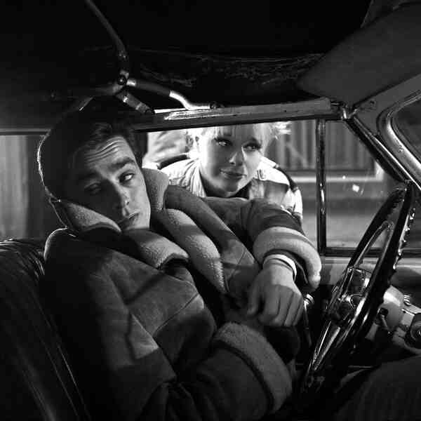 Le chien (1962) Screenshot 1
