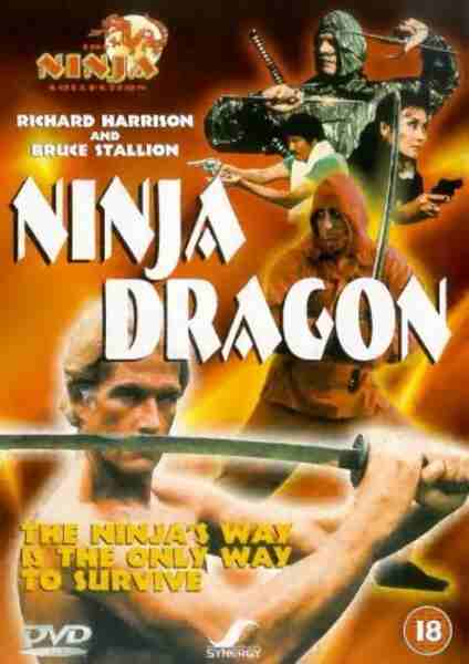 Ninja Dragon (1986) Screenshot 2
