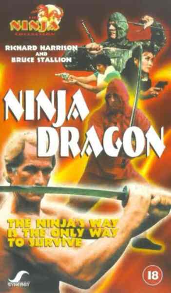Ninja Dragon (1986) Screenshot 3