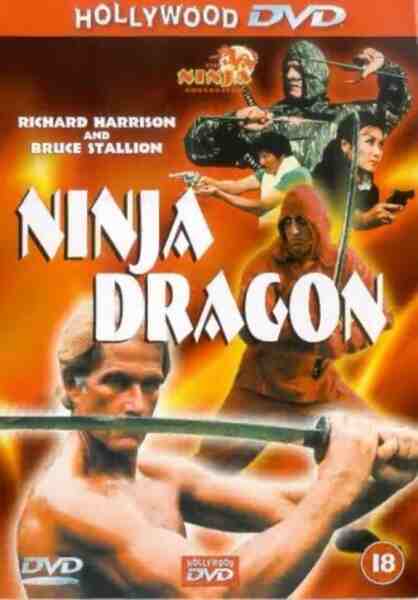 Ninja Dragon (1986) Screenshot 5