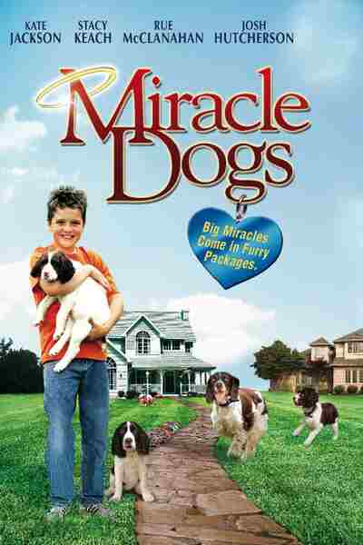 Miracle Dogs (2003) Screenshot 2