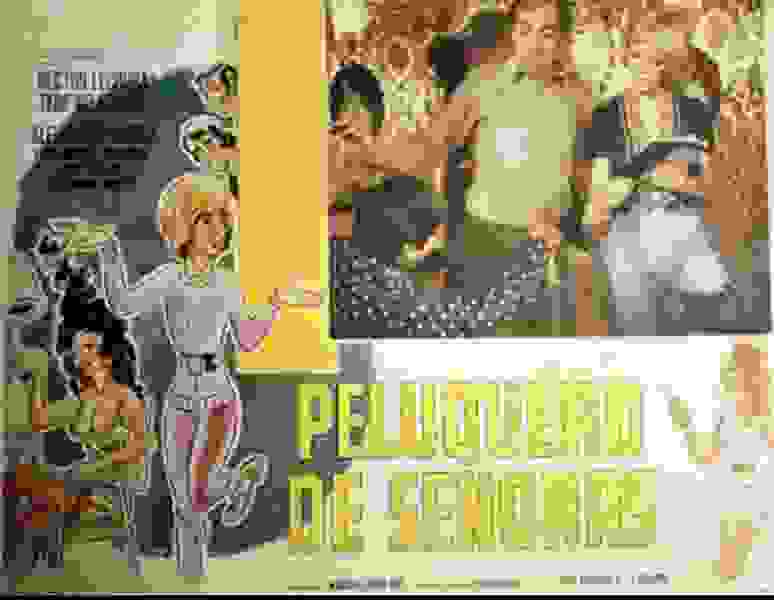 Peluquero de señoras (1973) Screenshot 1