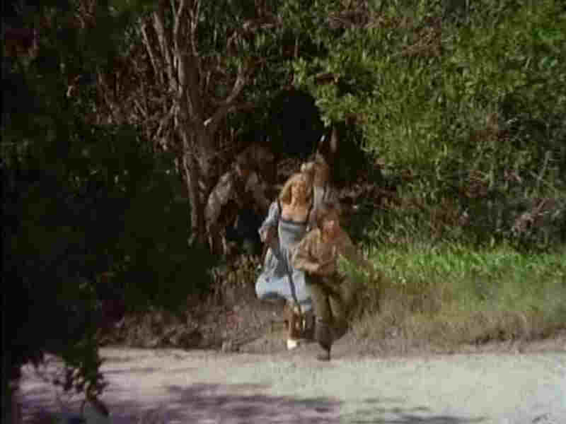 Un pirata de doce años (1972) Screenshot 5