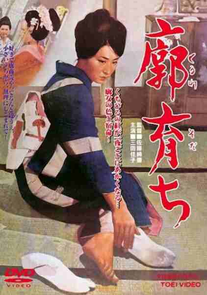 Kuruwa sodachi (1964) Screenshot 1