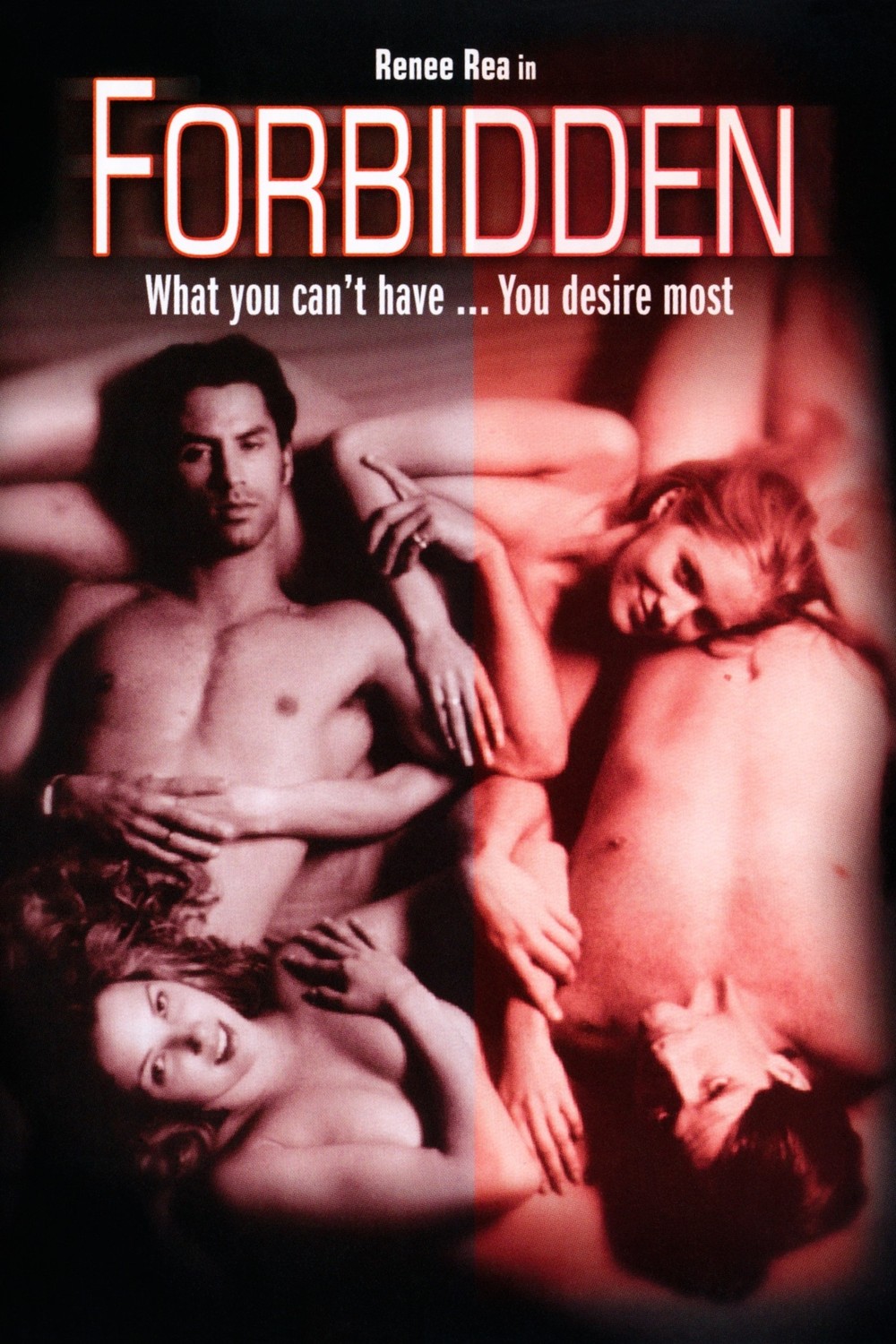 Forbidden (2001) starring Dillon Morgan Silver on DVD on DVD