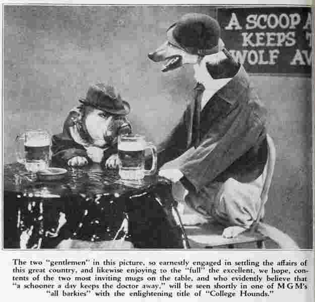 College Hounds (1929) Screenshot 1