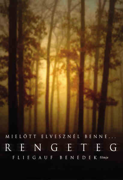 Forest (2003) with English Subtitles on DVD on DVD