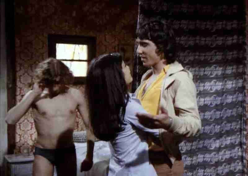 Perros callejeros II (1979) Screenshot 2