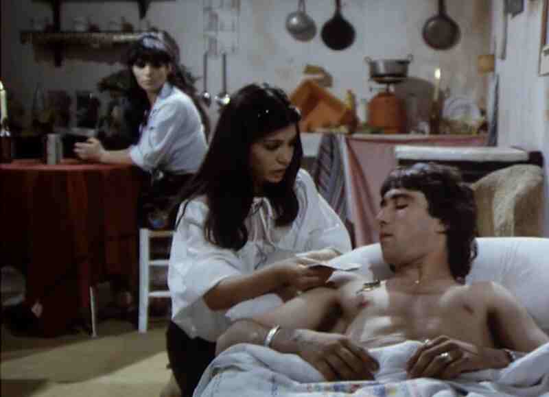 Perros callejeros II (1979) Screenshot 4