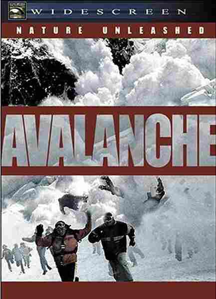 Nature Unleashed: Avalanche (2004) Screenshot 2