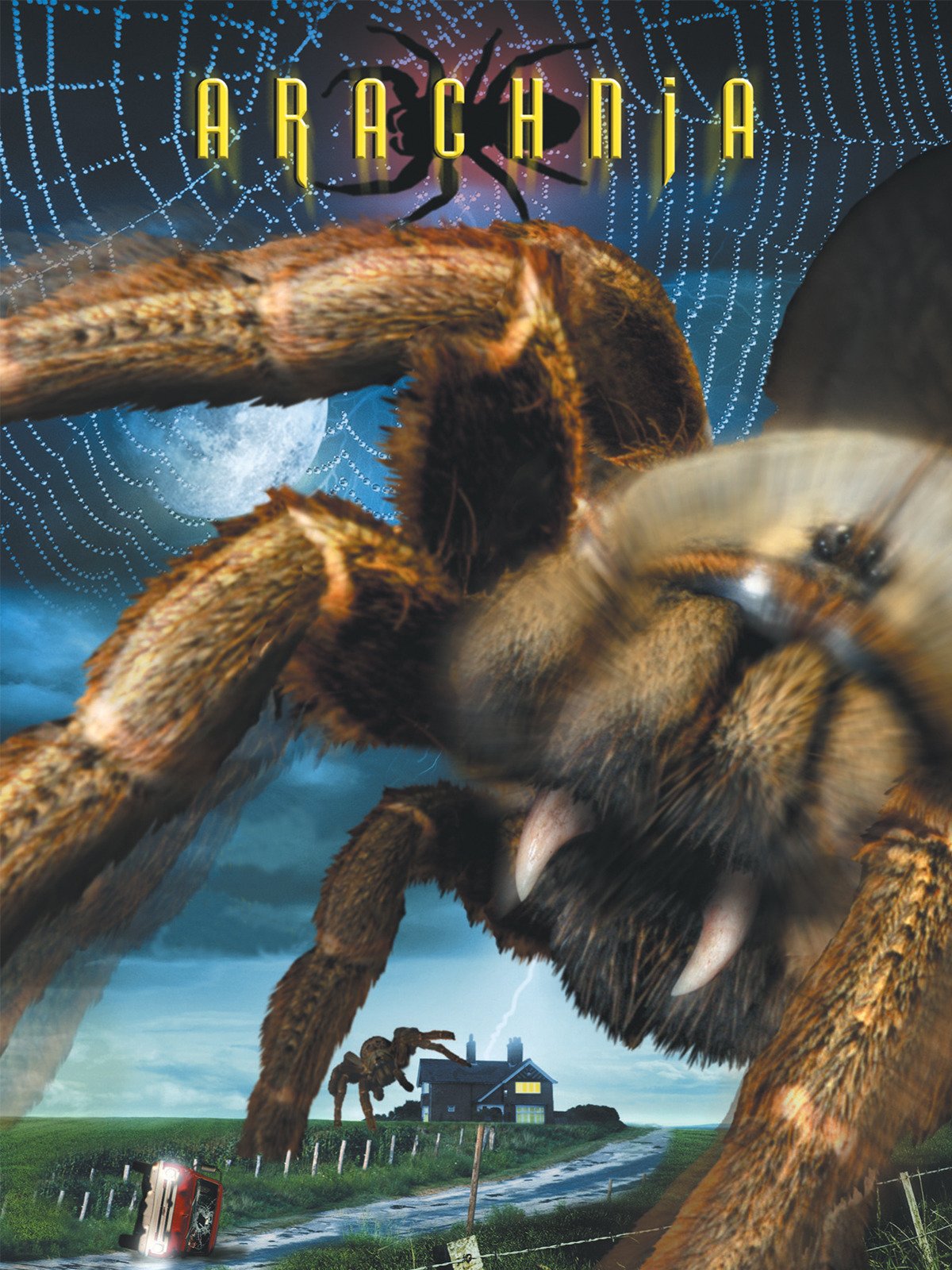 Arachnia (2003) starring Rob Monkiewicz on DVD on DVD