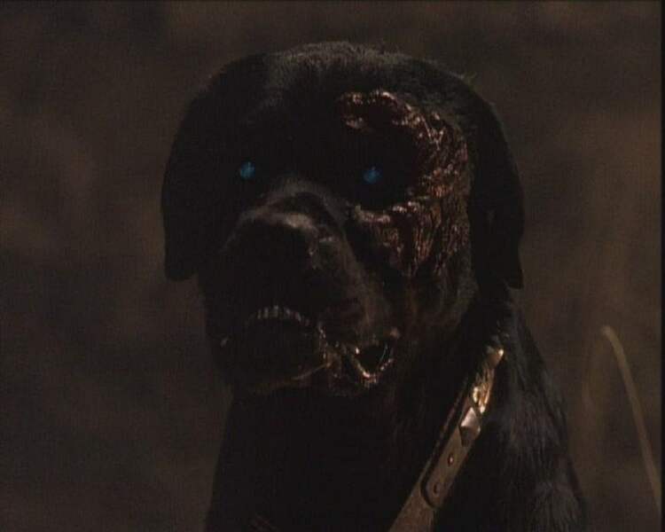 Rottweiler (2004) Screenshot 5