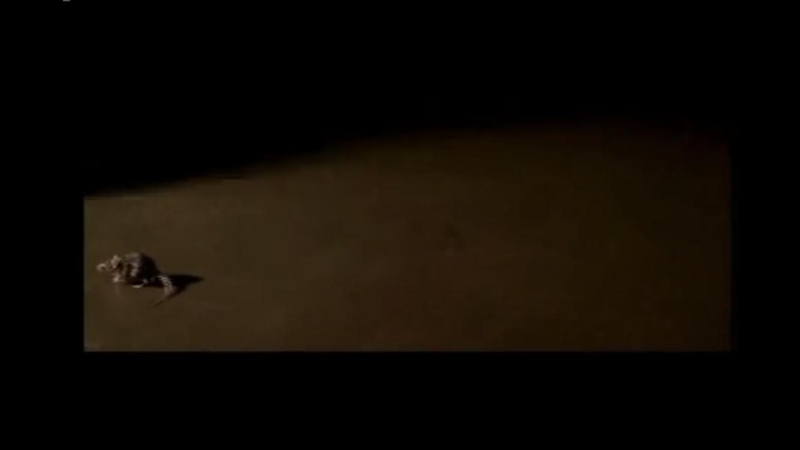 Batman: Dead End (2003) Screenshot 5