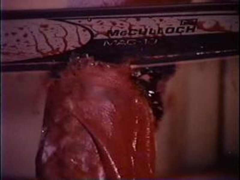 Suicidal Revenge (1990) Screenshot 1