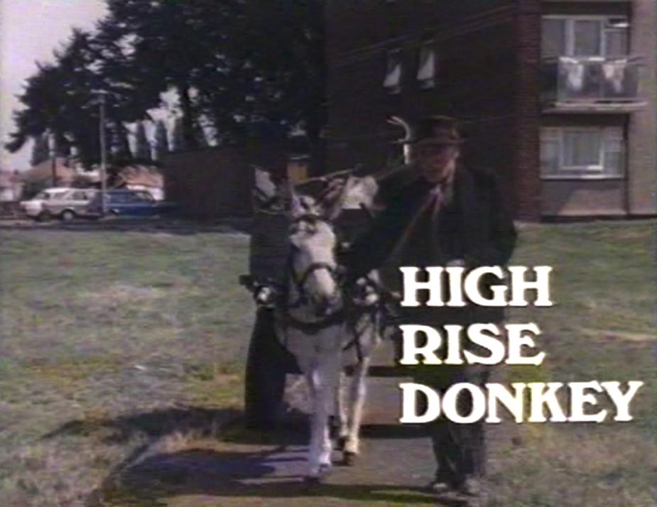 High Rise Donkey (1980) Screenshot 2 
