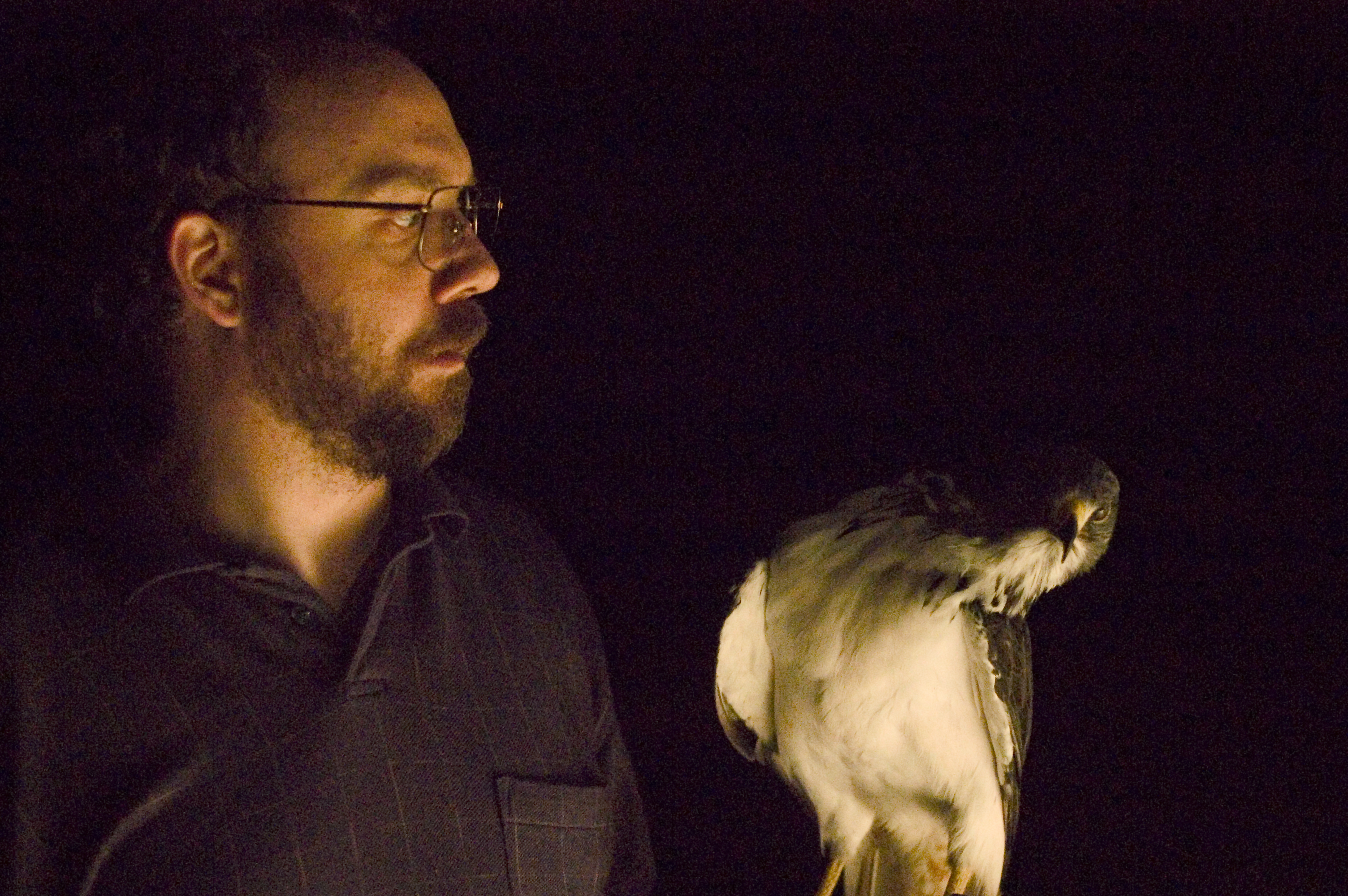 The Hawk Is Dying (2006) Screenshot 2
