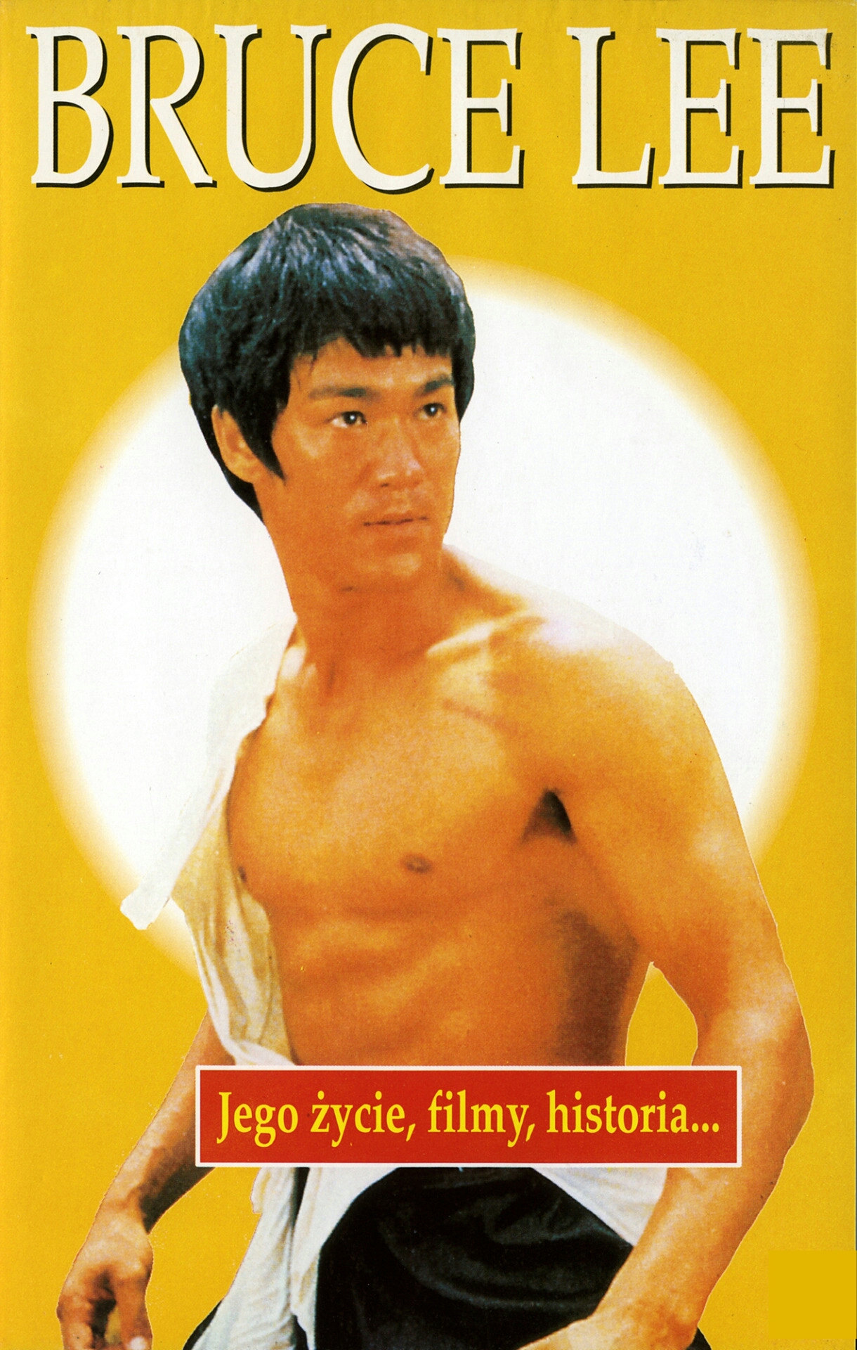 The Life of Bruce Lee (1994) Screenshot 2