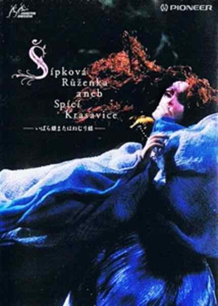 Briar-Rose or the Sleeping Beauty (1992) with English Subtitles on DVD on DVD