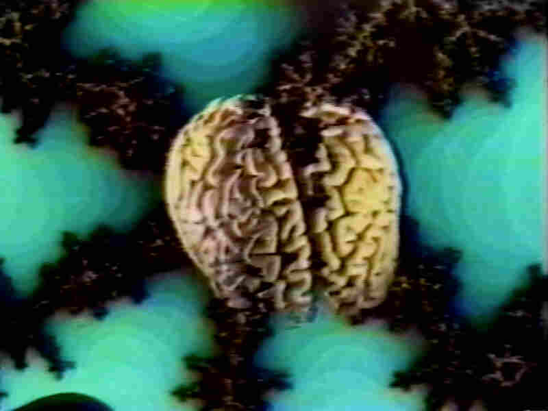 How to Operate Your Brain (1994) Screenshot 2