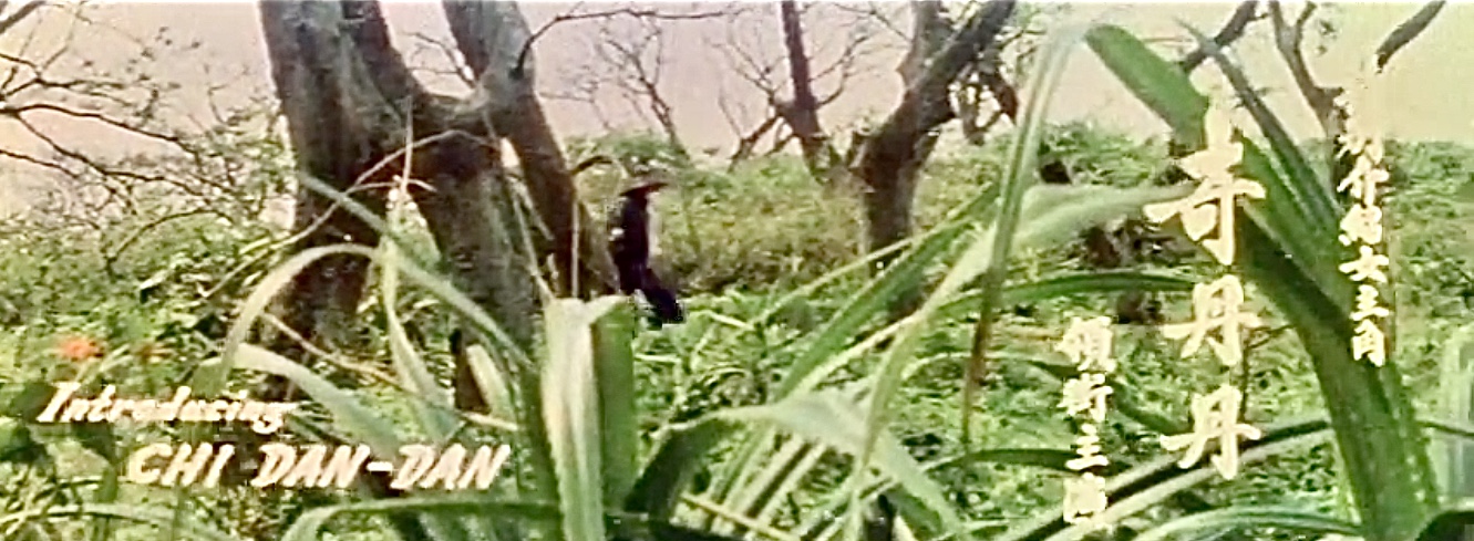 Eight Strikes of the Wildcat (1976) Screenshot 2