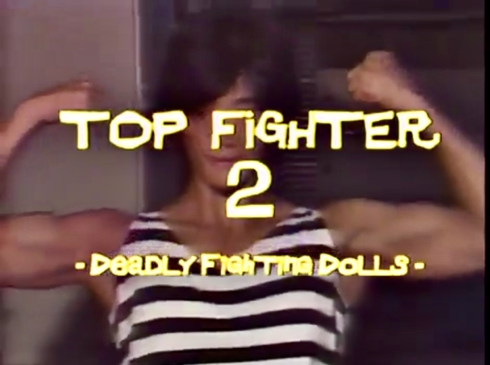 Top Fighter 2 (1996) Screenshot 2