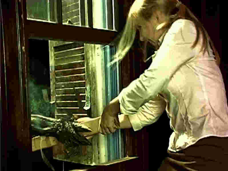 Demon Resurrection (2008) Screenshot 4