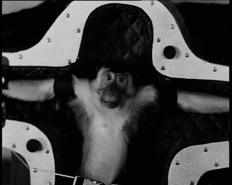 First on the Moon (2005) Screenshot 2