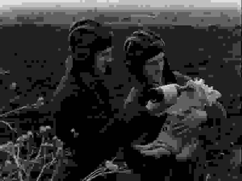 First on the Moon (2005) Screenshot 4