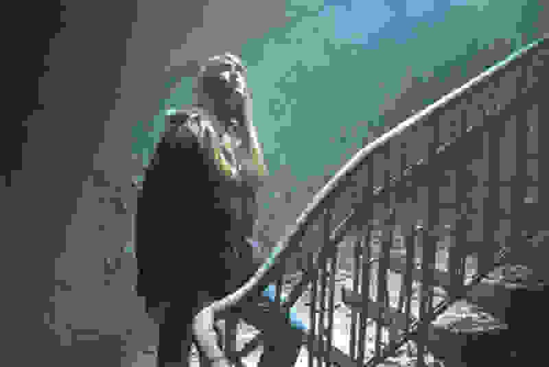 Wicked Little Things (2006) Screenshot 2