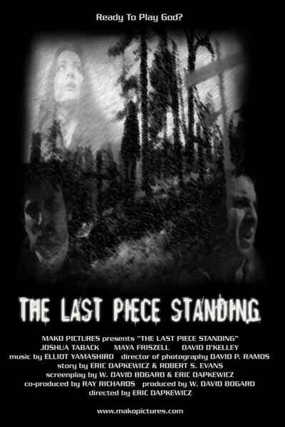 The Last Piece Standing (2005) Screenshot 1