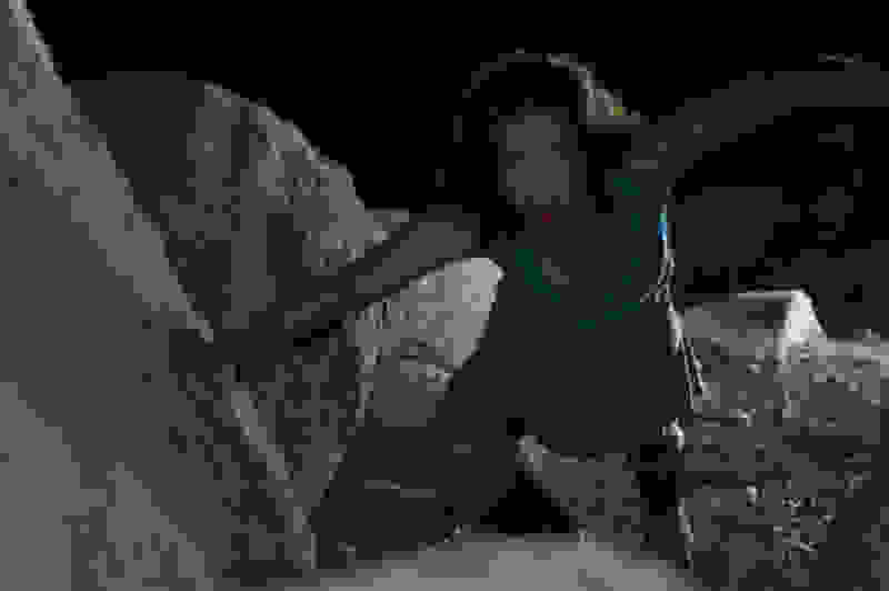 Nightmare Man (2006) Screenshot 3
