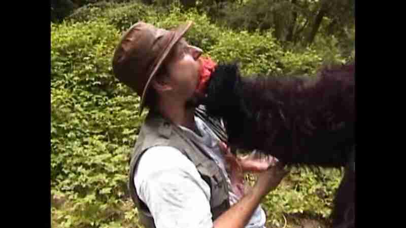 Suburban Sasquatch (2004) Screenshot 3