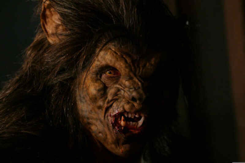 Big Bad Wolf (2006) Screenshot 4