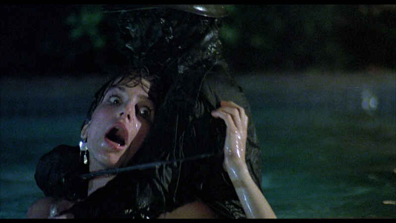 Going to Pieces: The Rise and Fall of the Slasher Film (2006) Screenshot 5