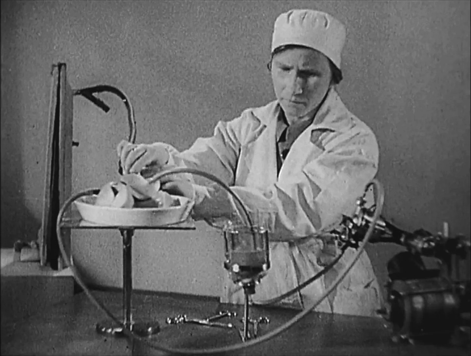 Experiments in the Revival of Organisms (1940) Screenshot 1