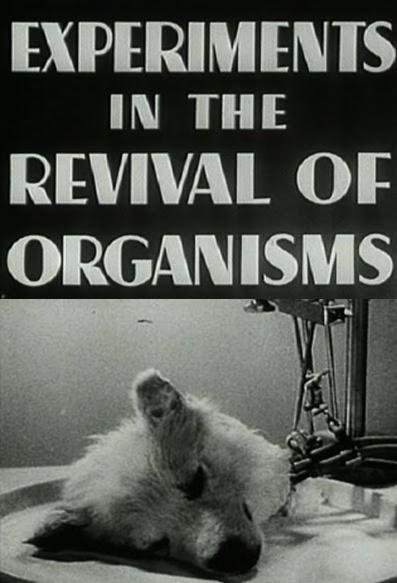 Experiments in the Revival of Organisms (1940) Screenshot 2