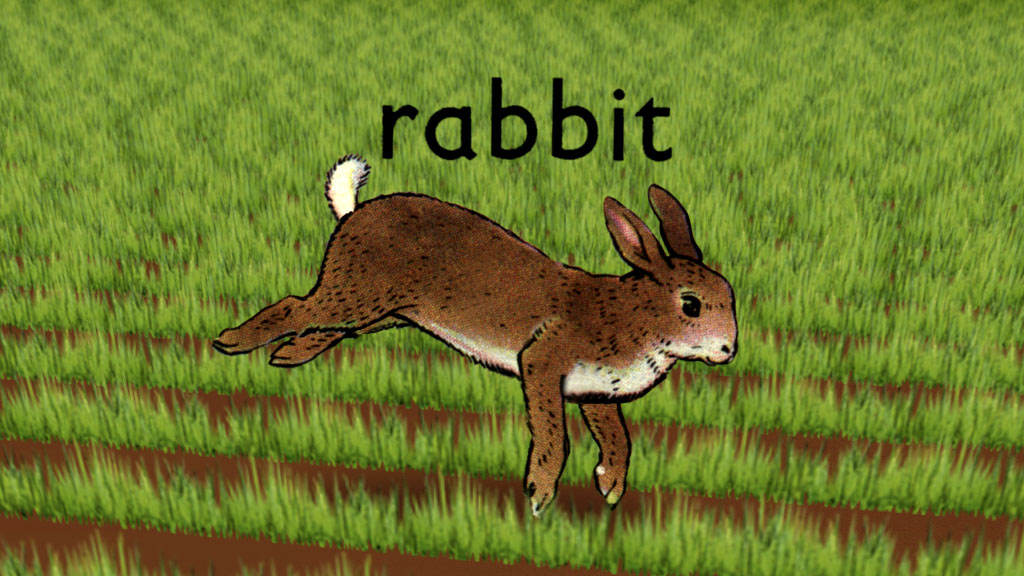 Rabbit (2005) starring N/A on DVD on DVD