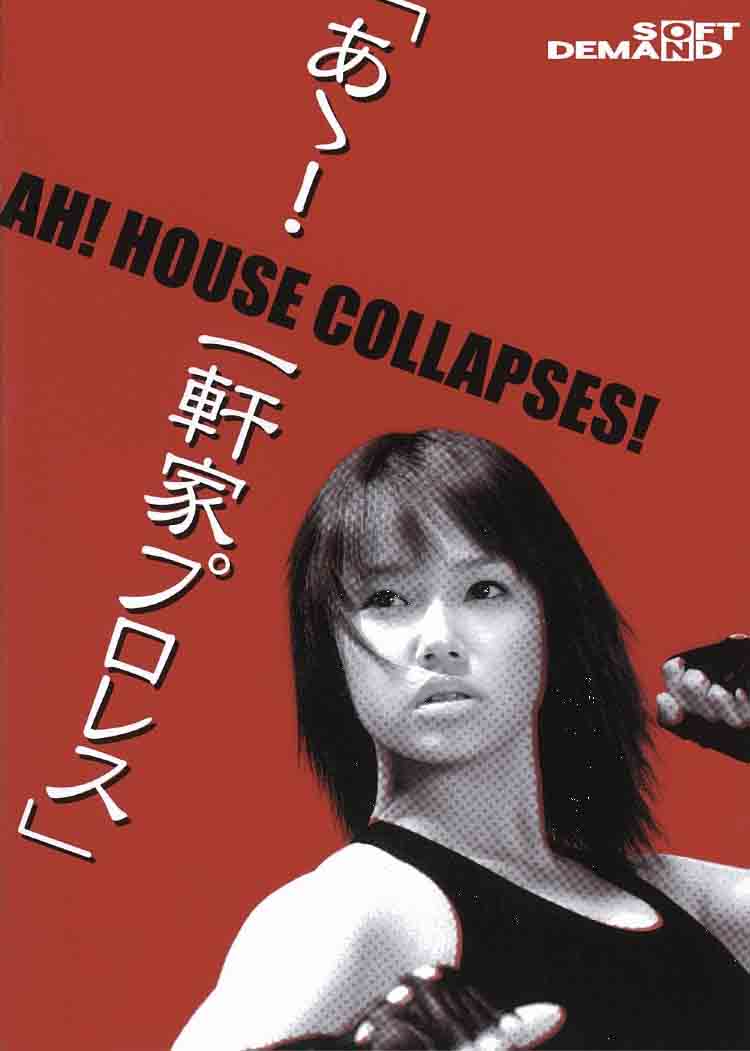 Â! Ikkenya puroresu (2004) with English Subtitles on DVD on DVD