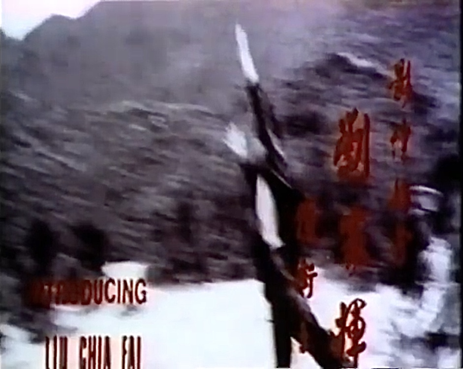 Zui jia bo sha (1978) Screenshot 3