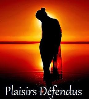 Plaisirs défendus (2005) with English Subtitles on DVD on DVD