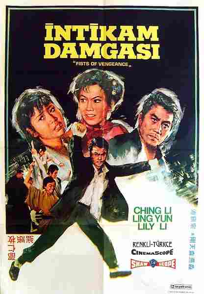 Fists of Vengeance (1972) Screenshot 3