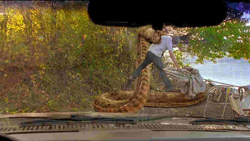 Mega Snake (2007) Screenshot 3