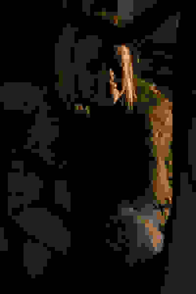 Tooth and Nail (2007) Screenshot 2